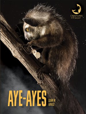 cover image of Aye-ayes